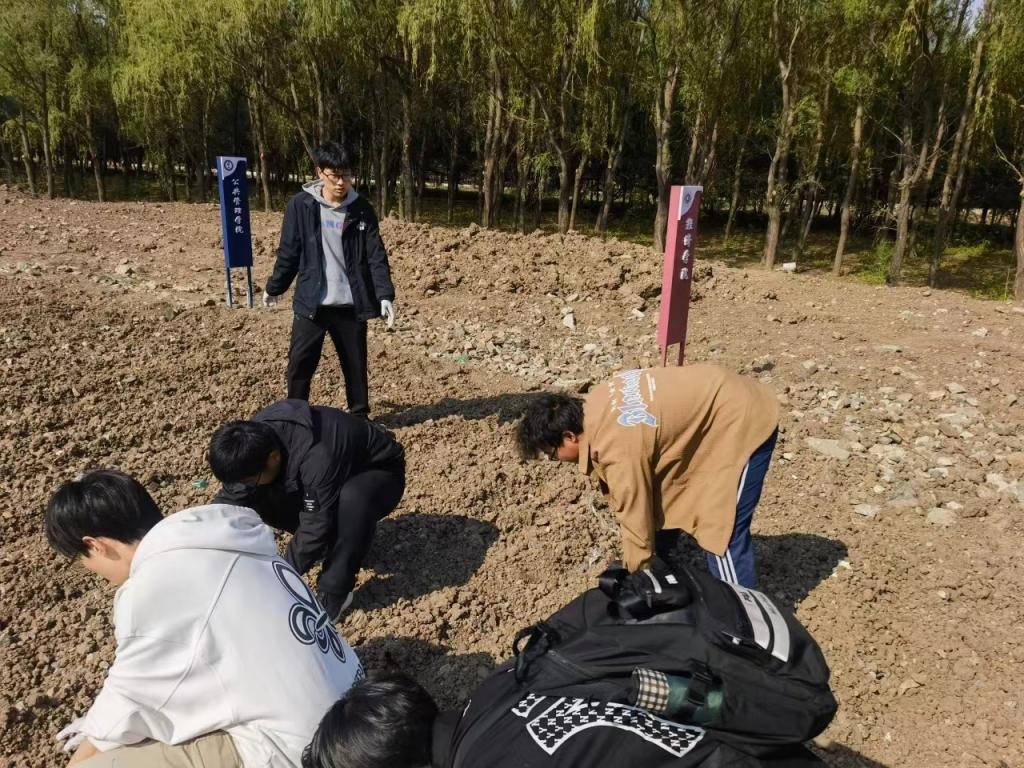 色情小说